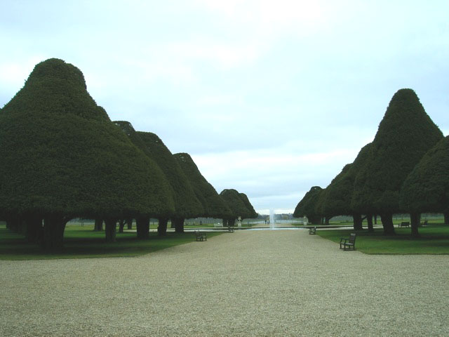 hampton_trees