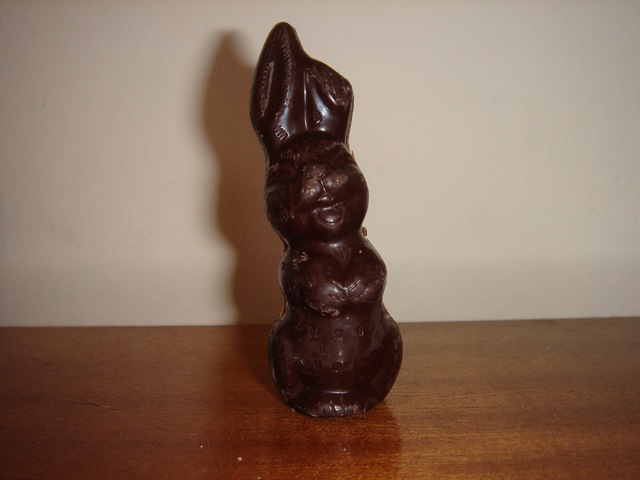 33bunny