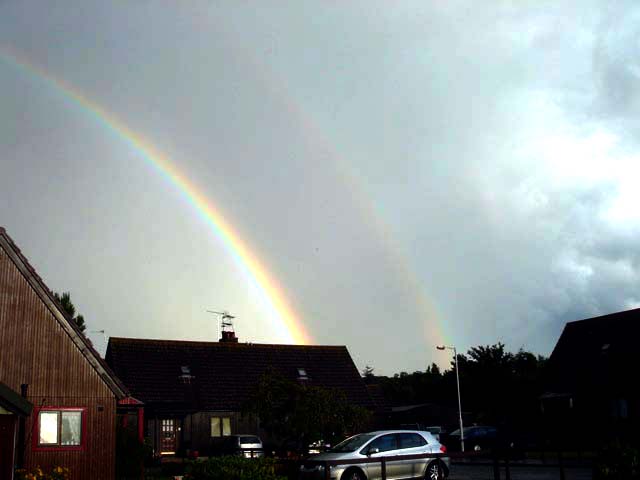 40rainbow